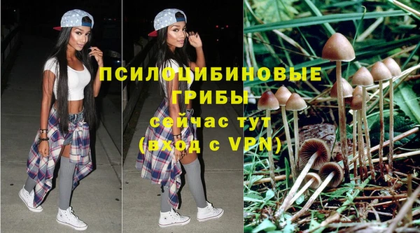 стафф Абдулино