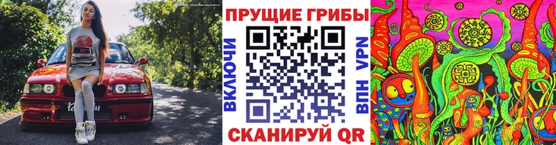 Псилоцибиновые грибы GOLDEN TEACHER  Ефремов 